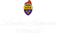 logo loredan gasparini